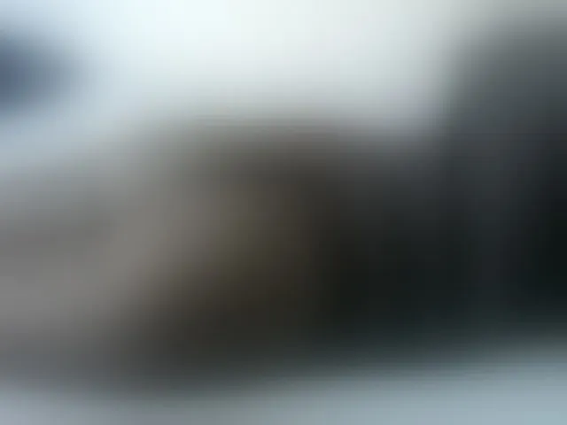 Live sex webcam photo for Chunkyjovial #275639035