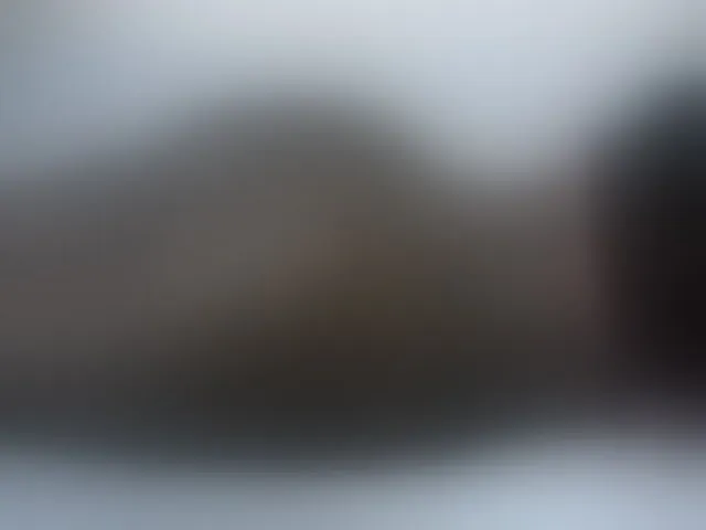 Live sex webcam photo for Chunkyjovial #275652853