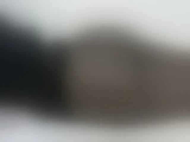 Live sex webcam photo for Chunkyjovial #275972188