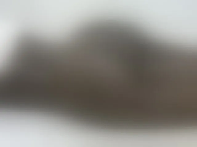 Live sex webcam photo for Chunkyjovial #275990234