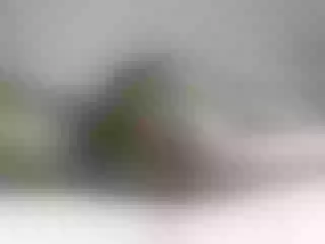 Live sex webcam photo for Chunkyjovial #275995550