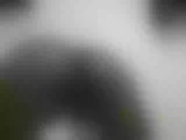 Live sex webcam photo for Chunkyjovial #276204011