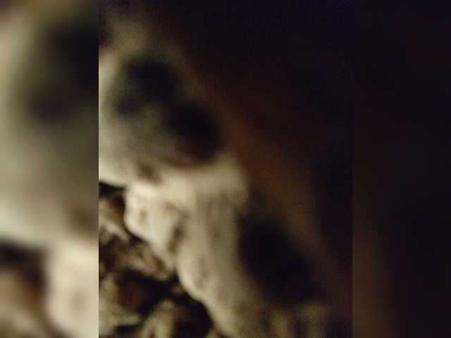 Live sex webcam photo for Citrus7 #272795057