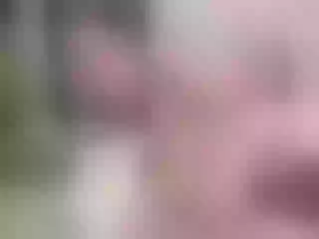 Live sex webcam photo for ClaraBendover #275657334