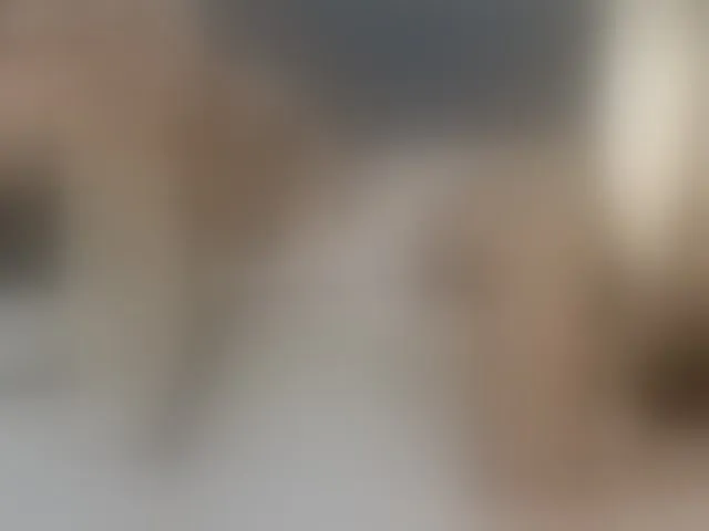 Live sex webcam photo for Claritababe #275897873