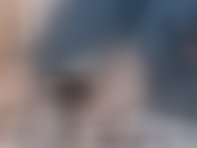 Live sex webcam photo for ClaudieTaylon #294277851