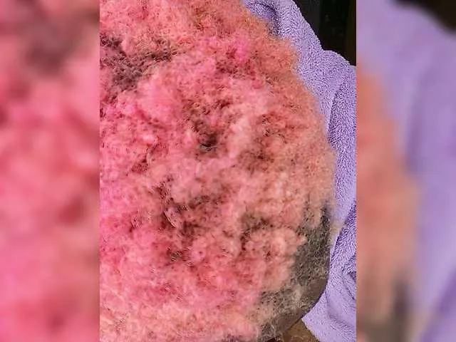 Live sex webcam photo for CleavageKING #277700711