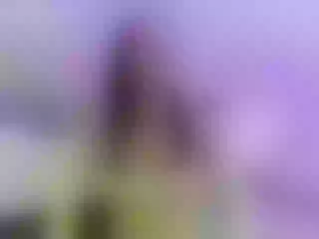Live sex webcam photo for Coco-balenciaga #292108087