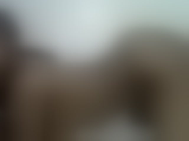 Live sex webcam photo for Comfort2a #294110065
