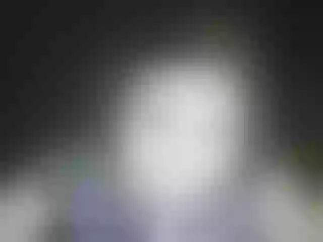 Live sex webcam photo for Cookie8 #291869558