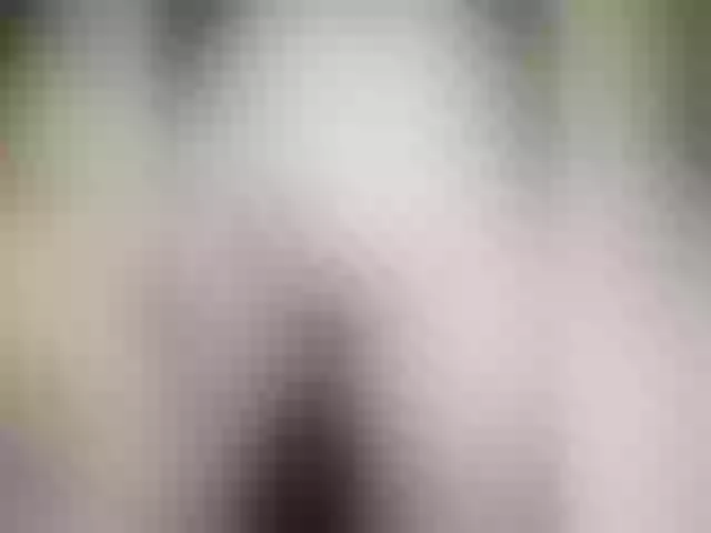 Live sex webcam photo for Cookie8 #291952329