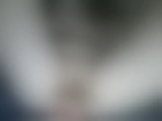 Live sex webcam photo for Cookie8 #292524399