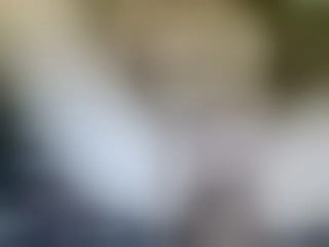 Live sex webcam photo for Cookie8 #292541921
