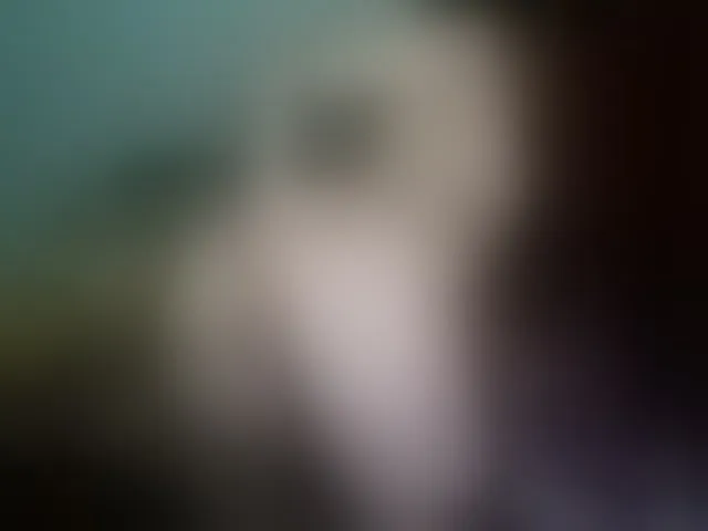 Live sex webcam photo for Cookie8 #292826604