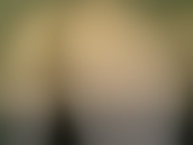 Live sex webcam photo for Cookie8 #293887577
