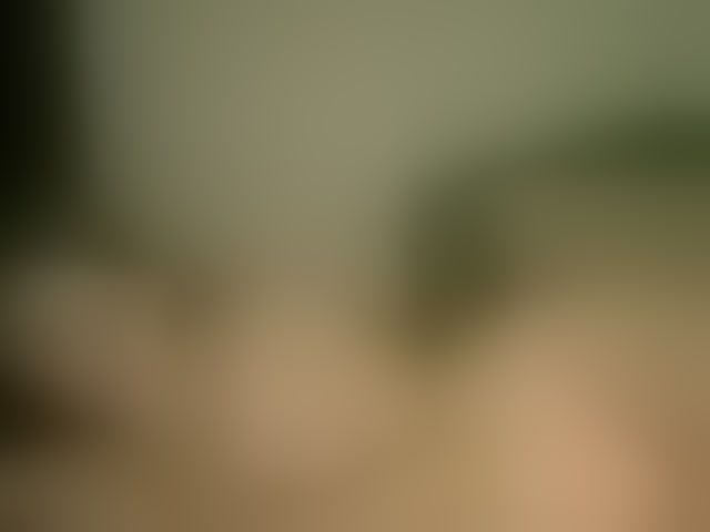 Live sex webcam photo for Cookie8 #294098960