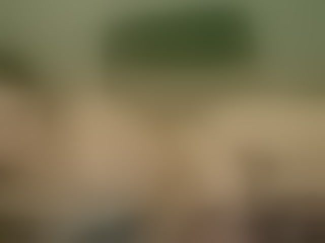 Live sex webcam photo for Cookie8 #294114703