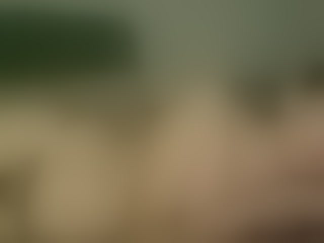 Live sex webcam photo for Cookie8 #294150198