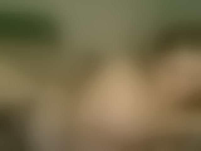 Live sex webcam photo for Cookie8 #294189573