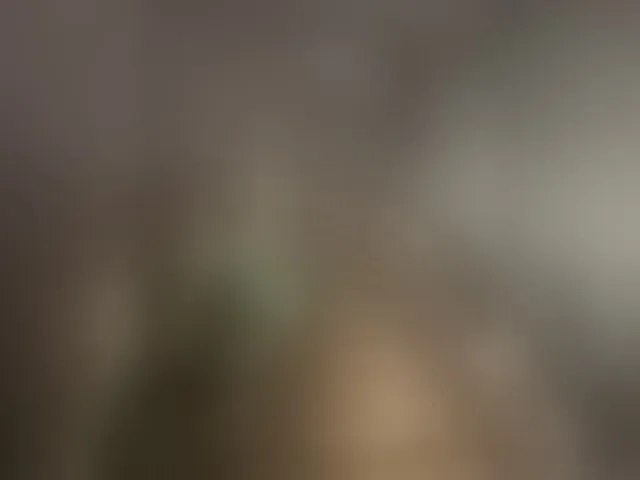 Live sex webcam photo for Cosmos13131 #293802517