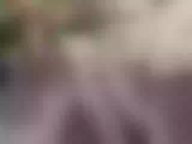 Live sex webcam photo for Cottoncandy1-1 #290498944