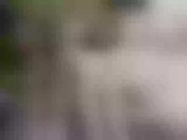 Live sex webcam photo for Cottoncandy1-1 #291012666