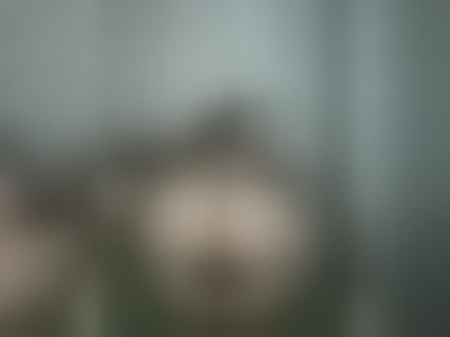 Live sex webcam photo for Crazy-lady #294143872