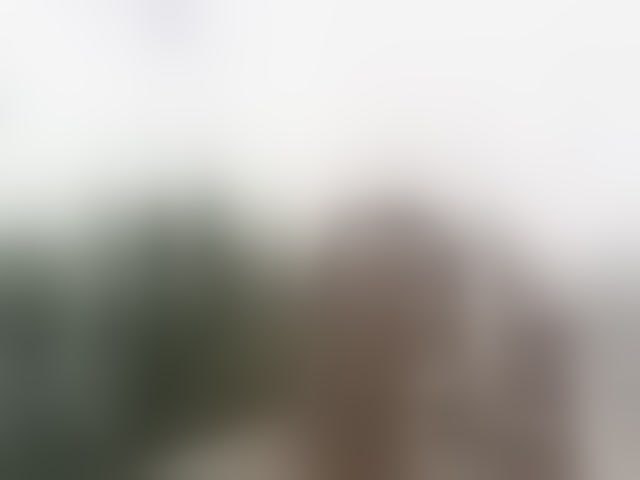 Live sex webcam photo for CrazyPussy07 #293825460