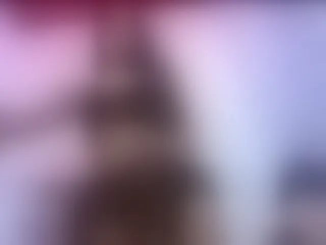 Live sex webcam photo for Cristalevains #292010353