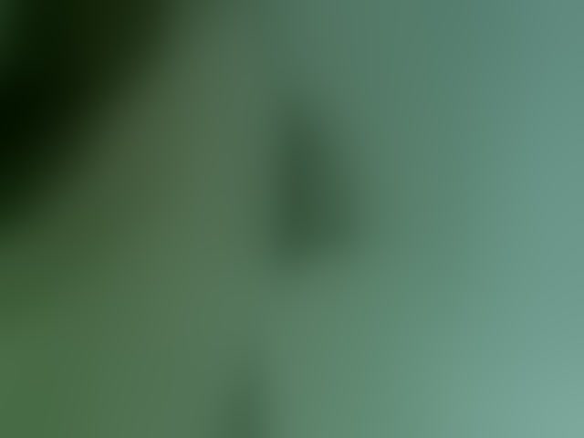 Live sex webcam photo for Cristalvip