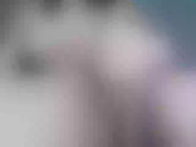 Live sex webcam photo for Cristina-Rose #276793457