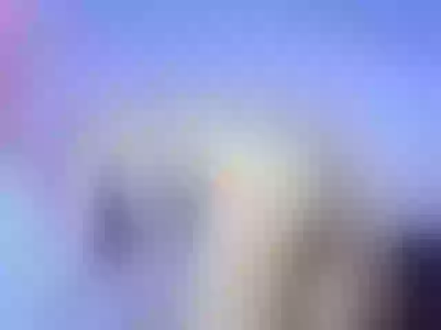 Live sex webcam photo for CrystalFerro #290845499