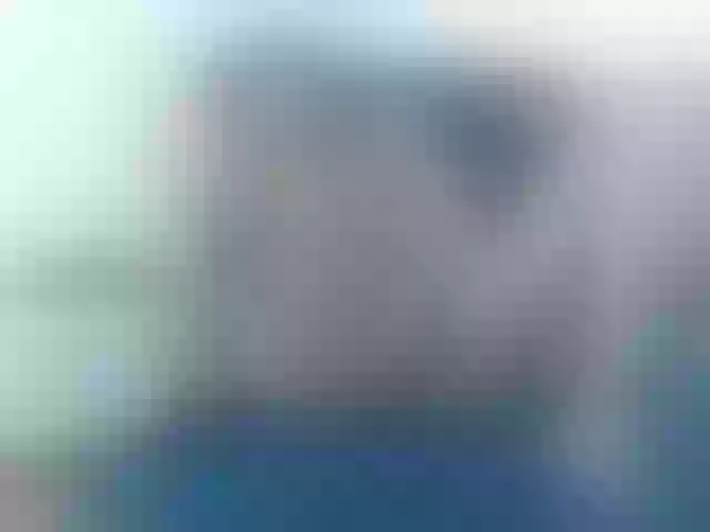 Live sex webcam photo for CrystalStarX #291708668