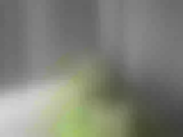 Live sex webcam photo for CrystalStarX #292082659