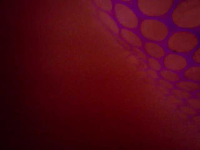 Live sex webcam photo for Cuckold-lover #290549473