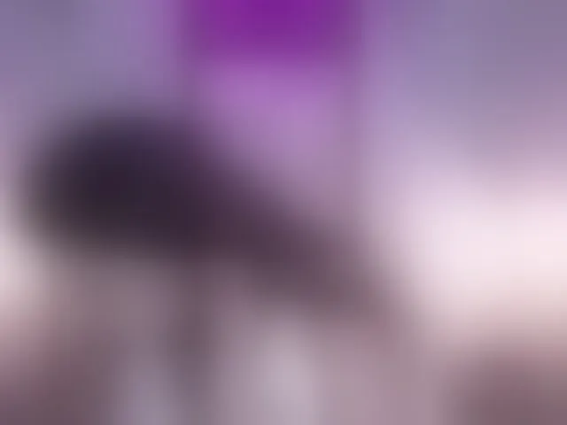 Live sex webcam photo for CurlyDani #293641417