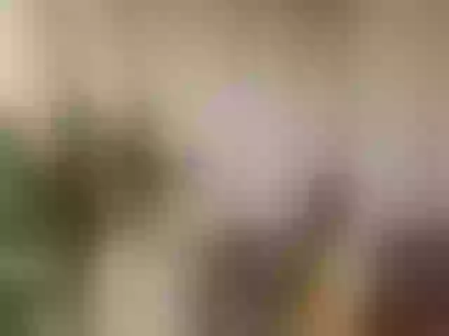 Live sex webcam photo for Curvy-maxy9 #292030540