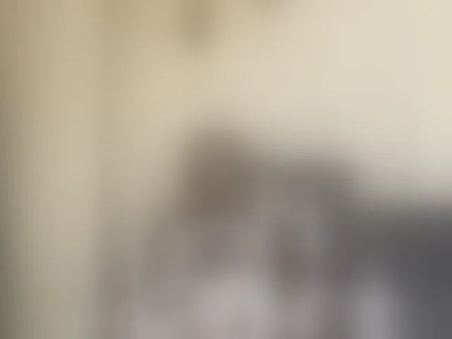 Live sex webcam photo for Curvy-maxy9 #292687810