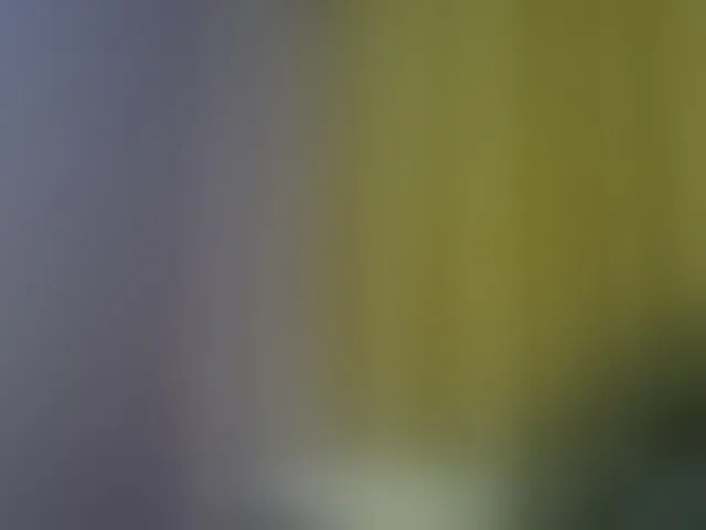 Live sex webcam photo for Curvysexy #292618580