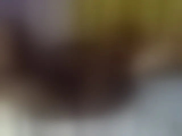 Live sex webcam photo for Curvysexy #292676937