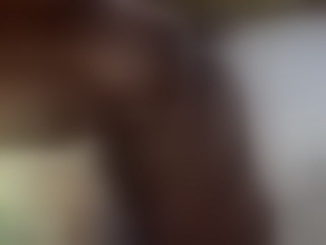 Live sex webcam photo for Curvysexy