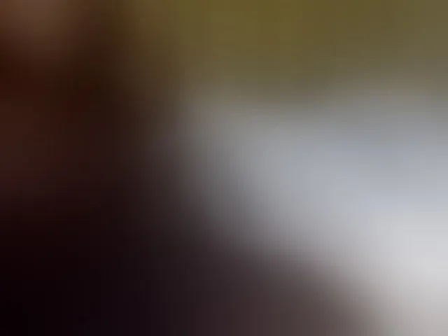 Live sex webcam photo for Curvysexy #294256921