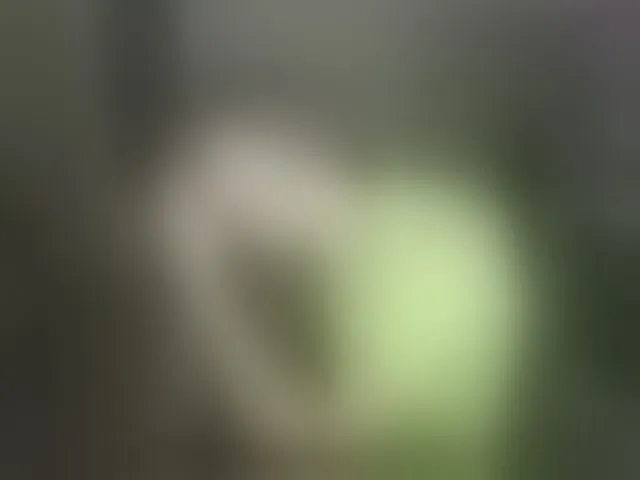 Live sex webcam photo for Cute-Lolly #292431431