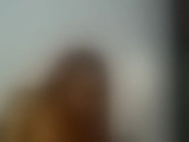 Live sex webcam photo for Cute-dall #293941667