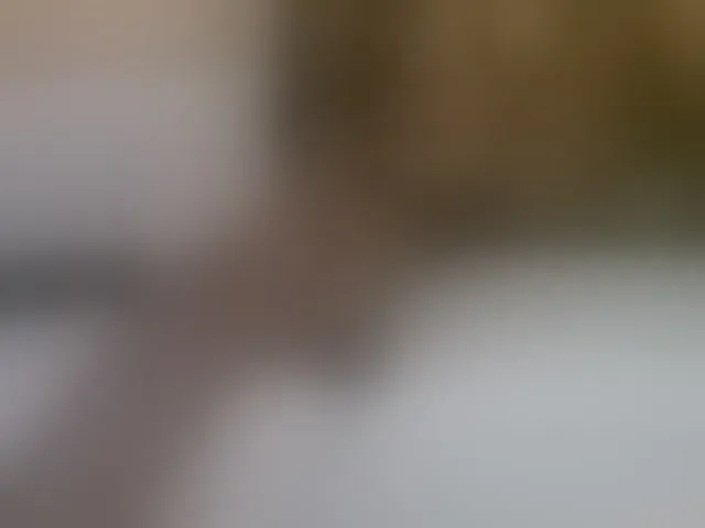 Live sex webcam photo for Cute-latasha #293795264