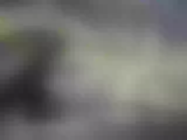 Live sex webcam photo for Cute-nina #291734283