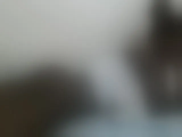Live sex webcam photo for Cute-nina #292499179