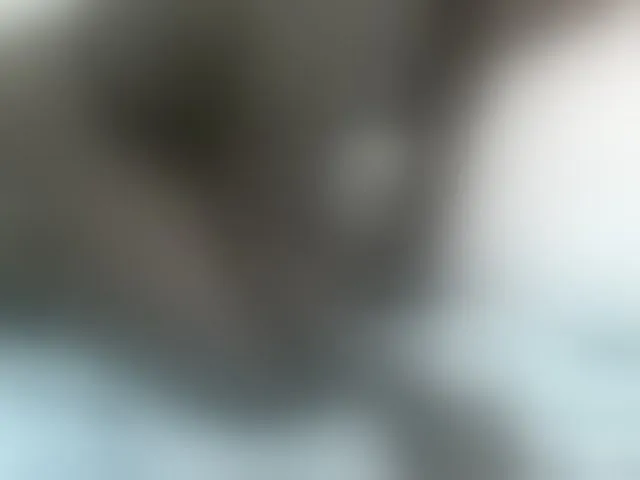 Live sex webcam photo for Cute-nina #292515706