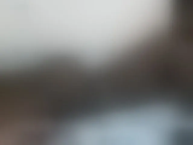 Live sex webcam photo for Cute-nina #292544270