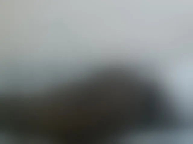 Live sex webcam photo for Cute-nina #292555016